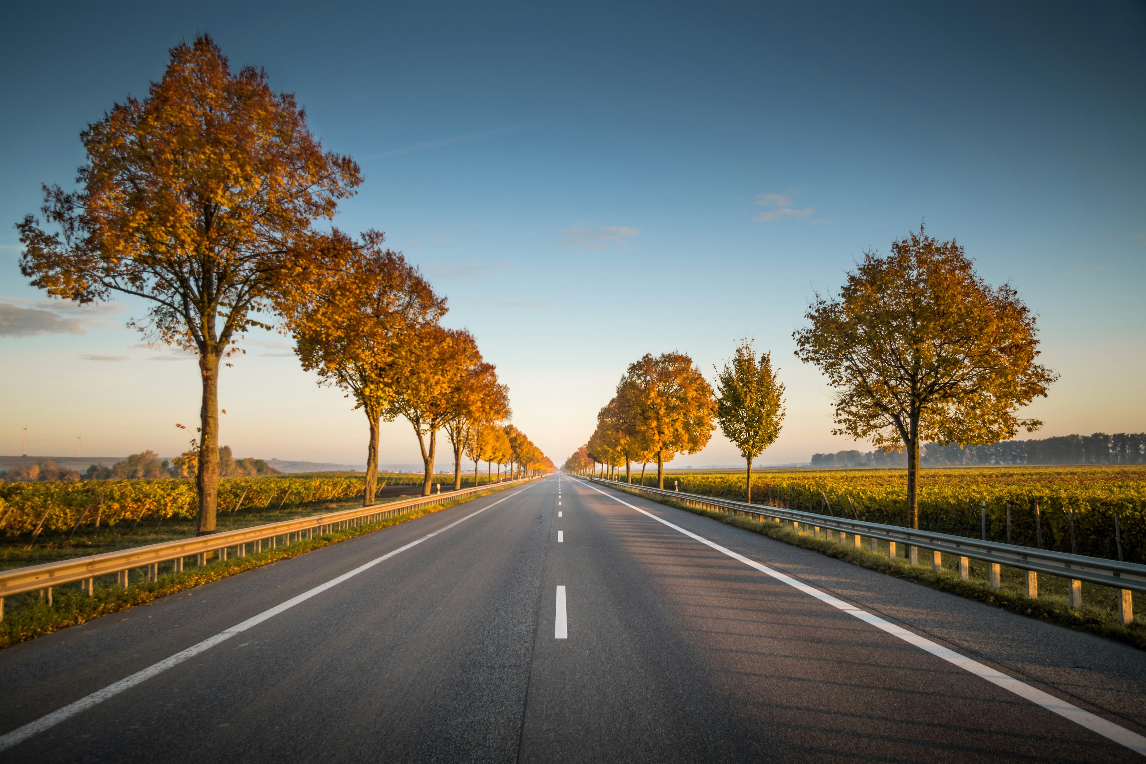 Road image